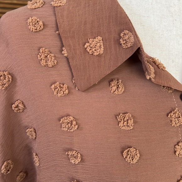 Taupe Blouse with Sheer back - Picture 2 of 4